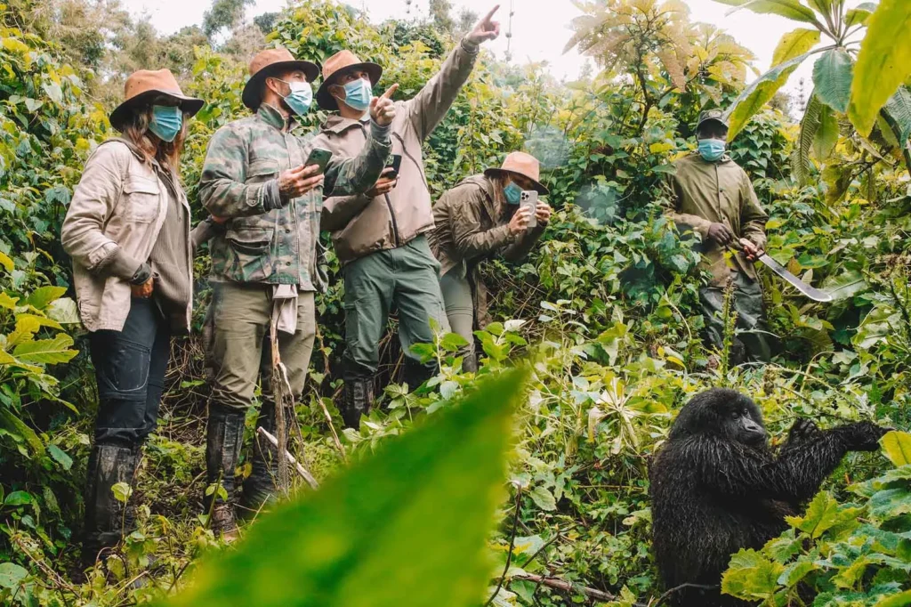 Gorilla & Wilderness Journey D2 1024x682