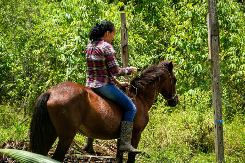 A woman on horseback traverses a verdant forest, showcasing a serene connection with nature.